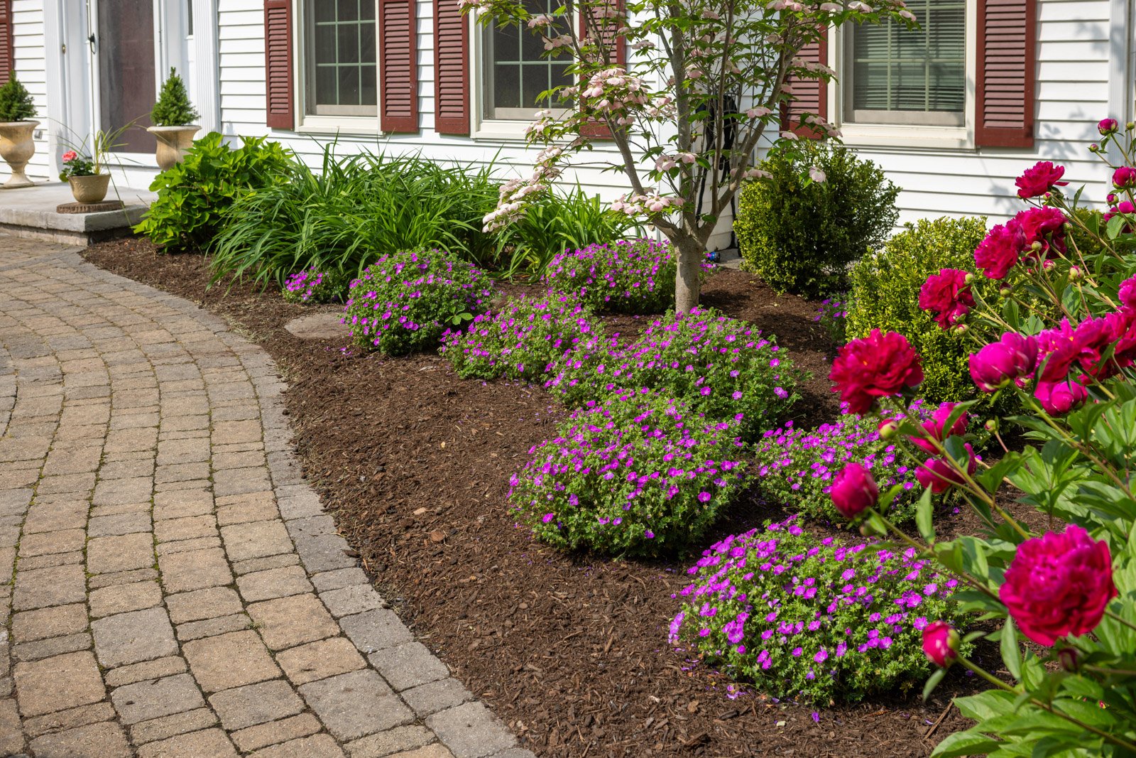 concrete paver walkway mulch bed flowers peony daylily geranium cranesbill home