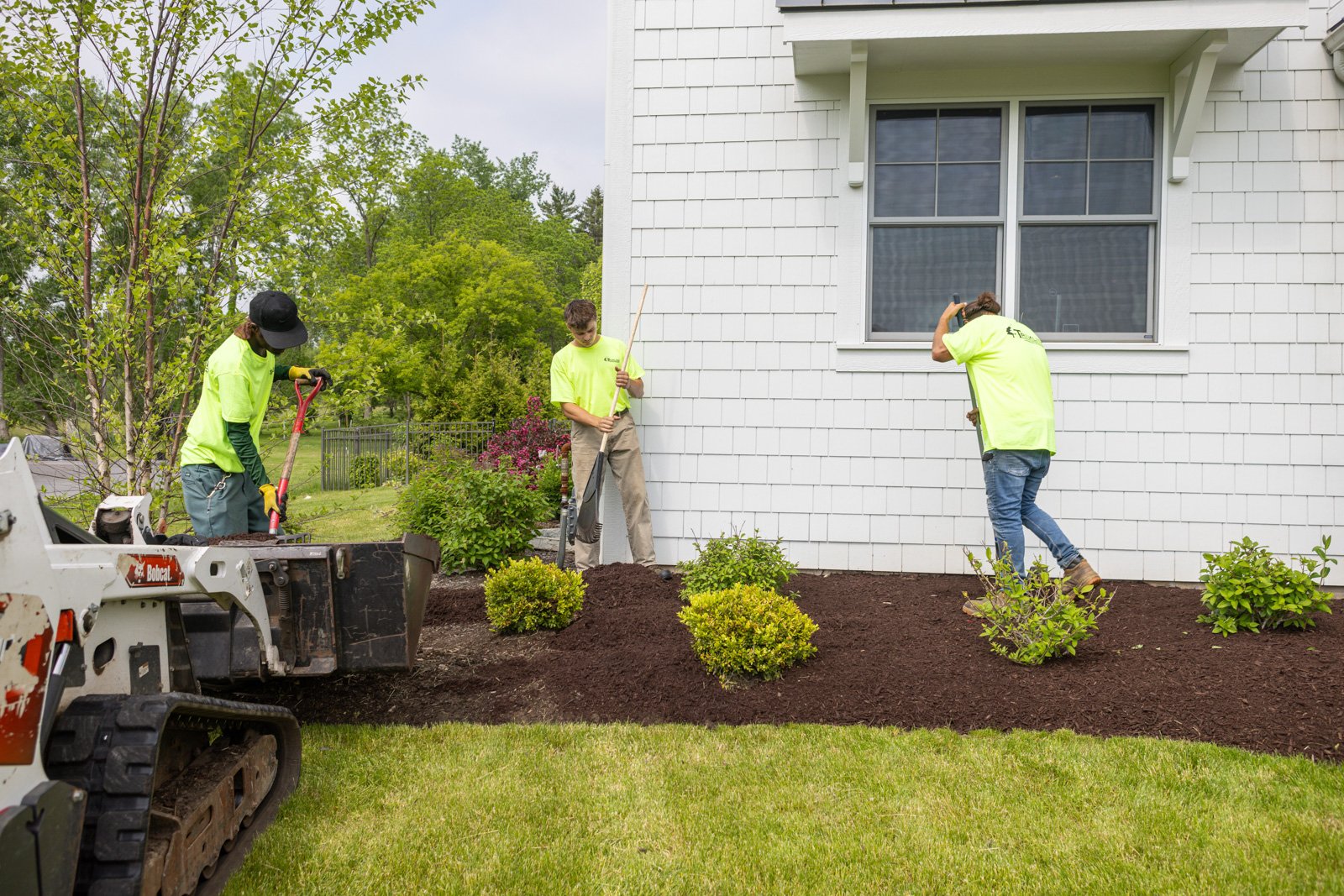 crew mulch bed install top dress shrubs