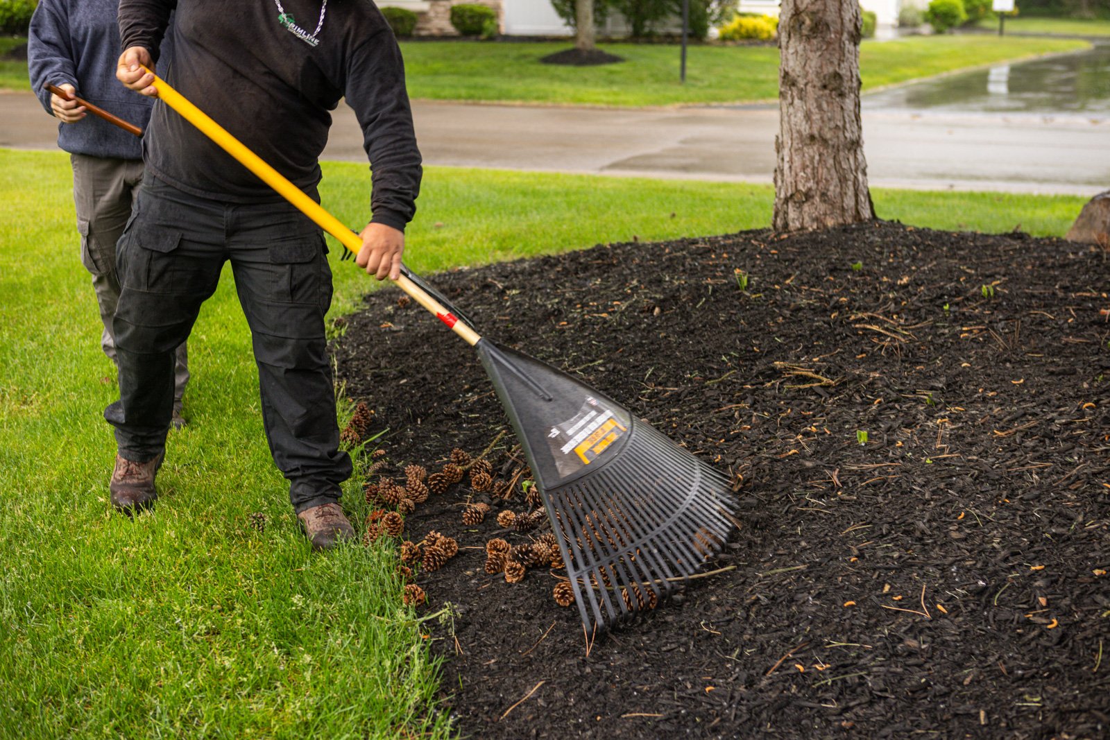 detail commercial maintenance crew raking pine cones clean up detailing planting bed