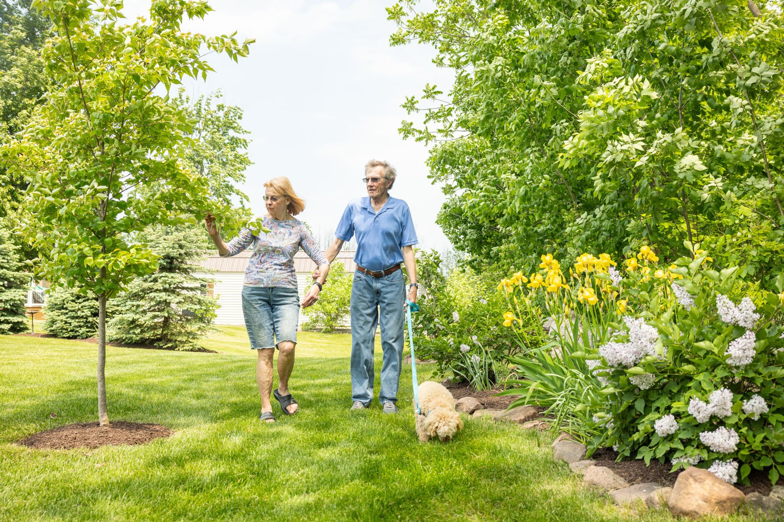 happy client walking dog grass planting bed 2