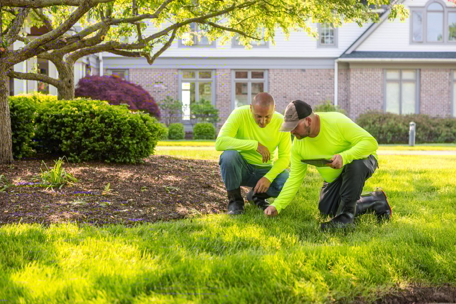 lawn care crew inspection grass planting beds 2