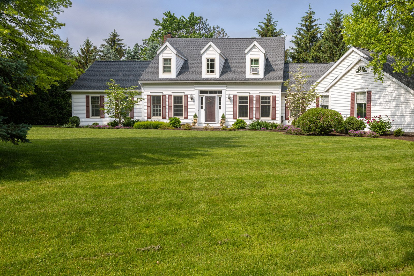 nice trees lawn planting bed shrubs home
