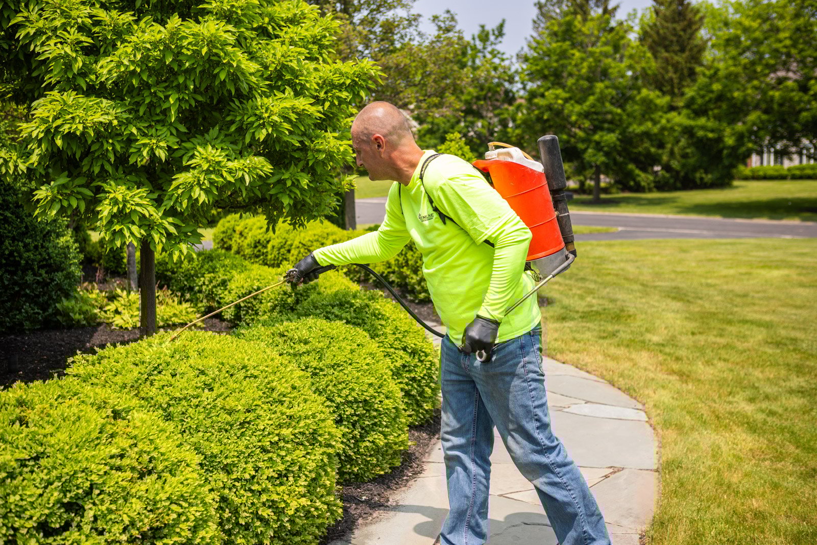 plant health care tech spraying pest disease control tree shrubs backpack sprayer 2