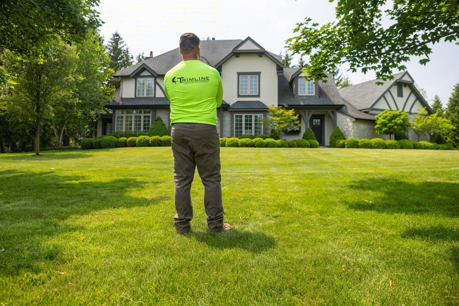 professional lawn care from trimline in western new york