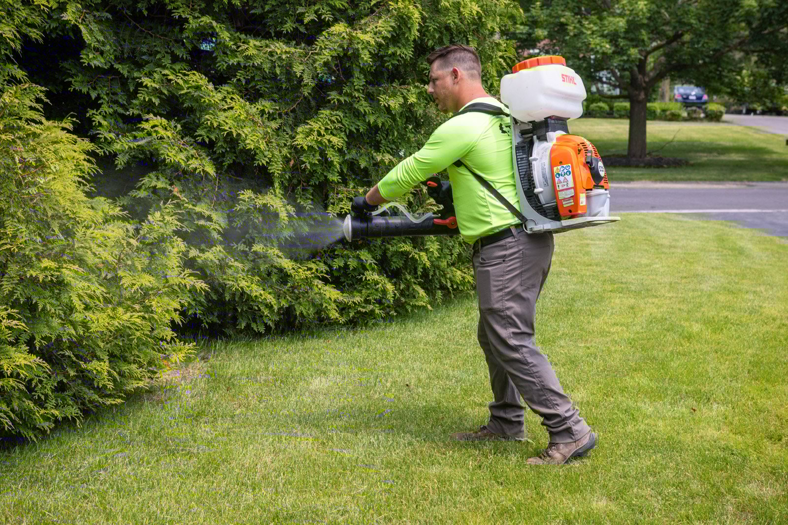 crew mosquito flea tick spray fog arborvitae lawn 2