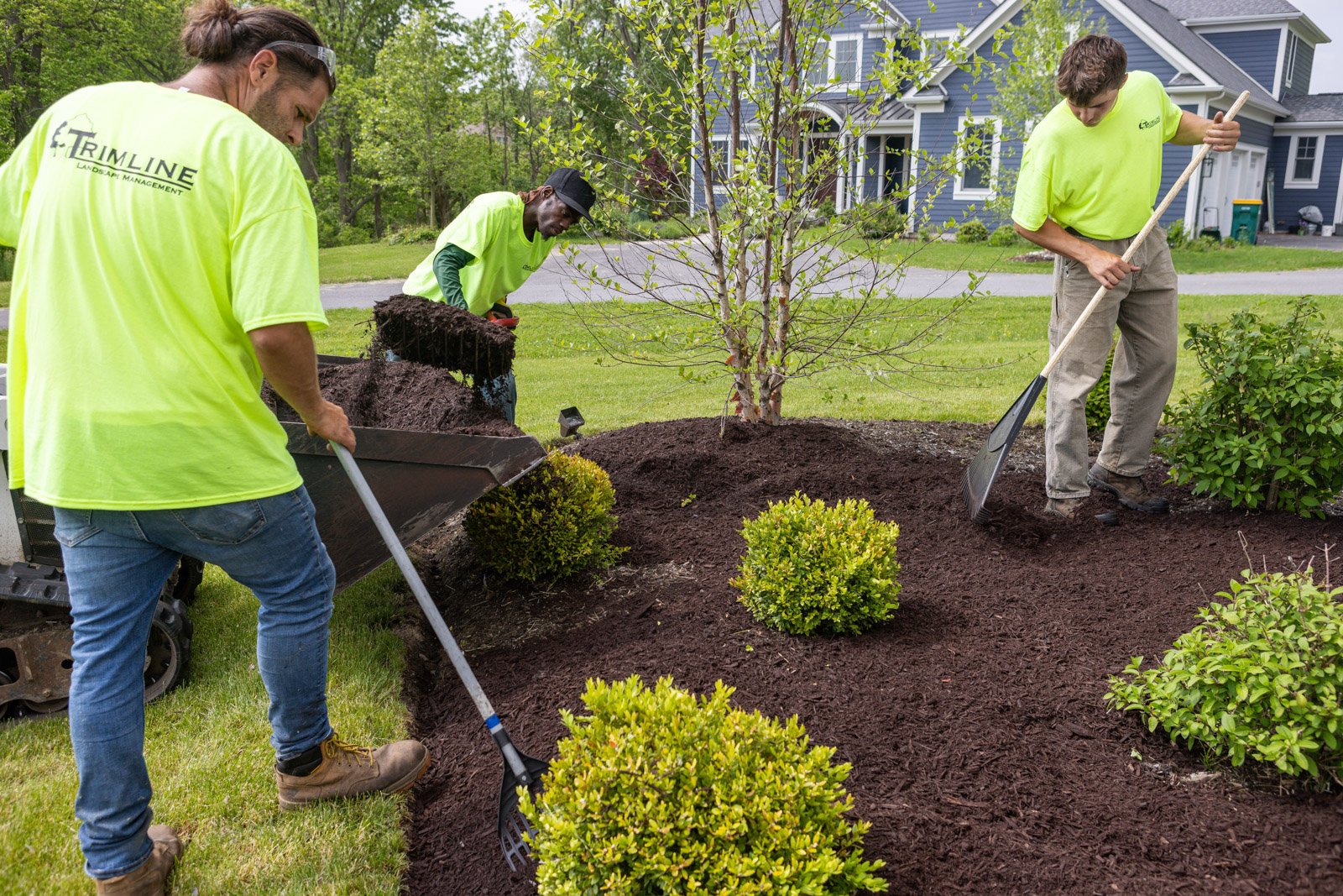 mulching a planting bed to protect shrubs from frost