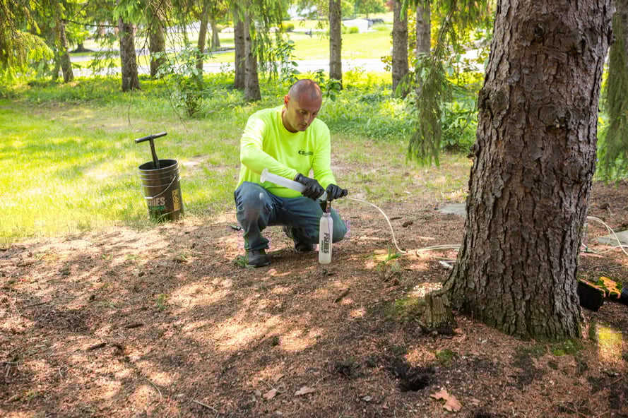 plant health care tech mixing fertilizer for a tree injection