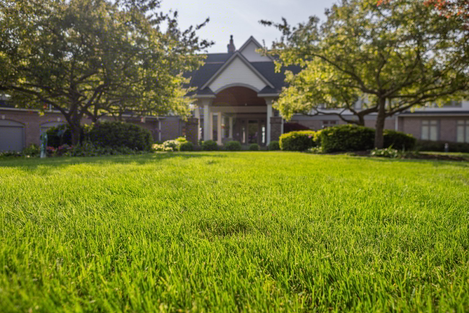 effective lawn care in rochester, ny