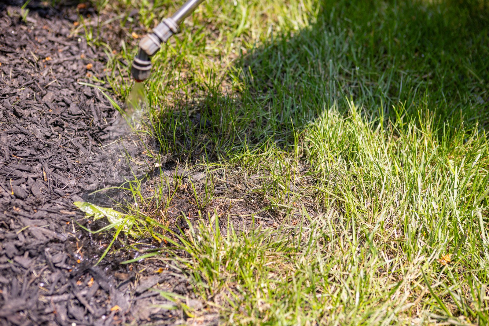 spot spraying weeds on border areas where they commonly creep in