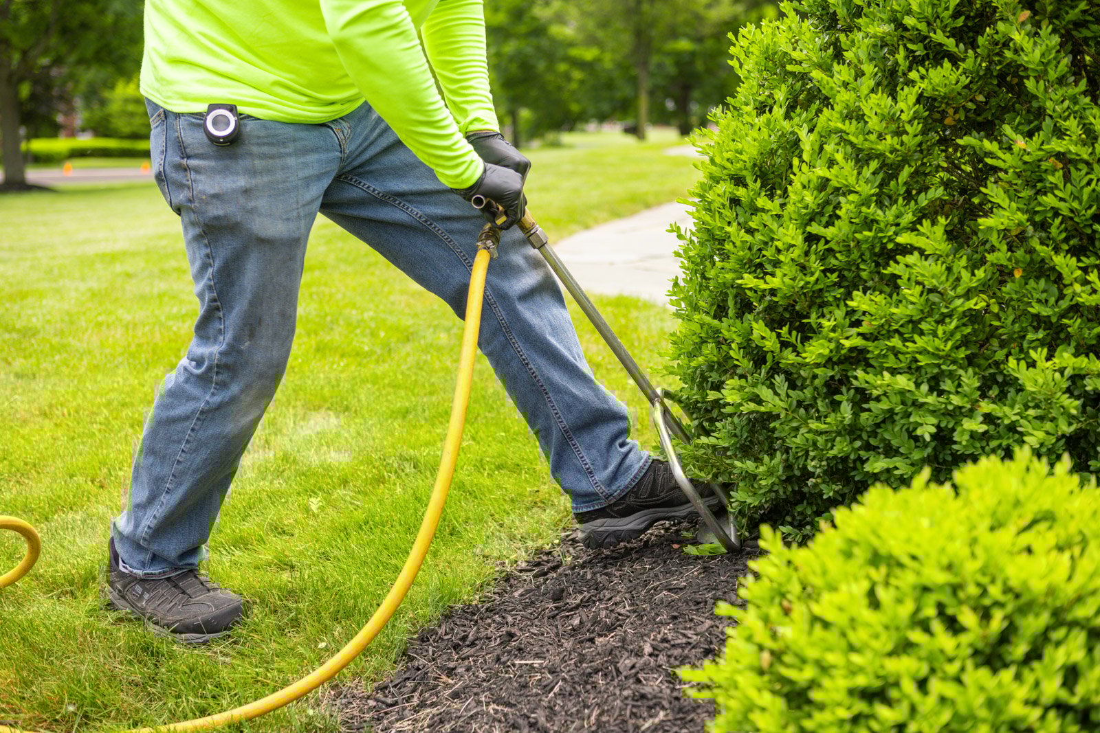 detail plant health care technician deep root fertilization injection shrub 2