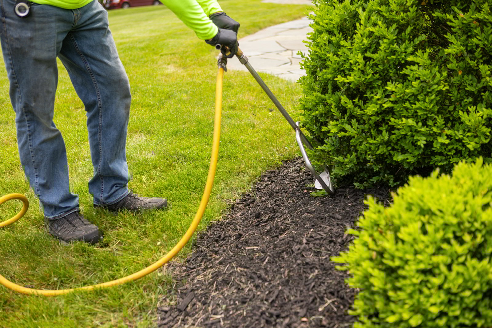 plant health care technician applying a deep root fertilization treatment to a shrub