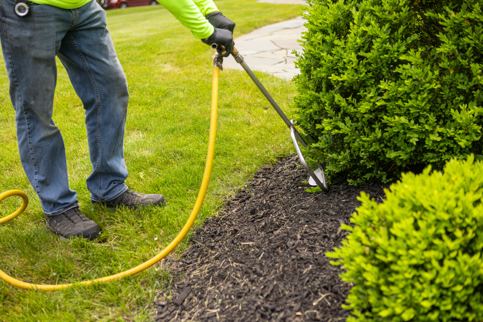 What is Deep Root Fertilization? 3 Main Benefits
