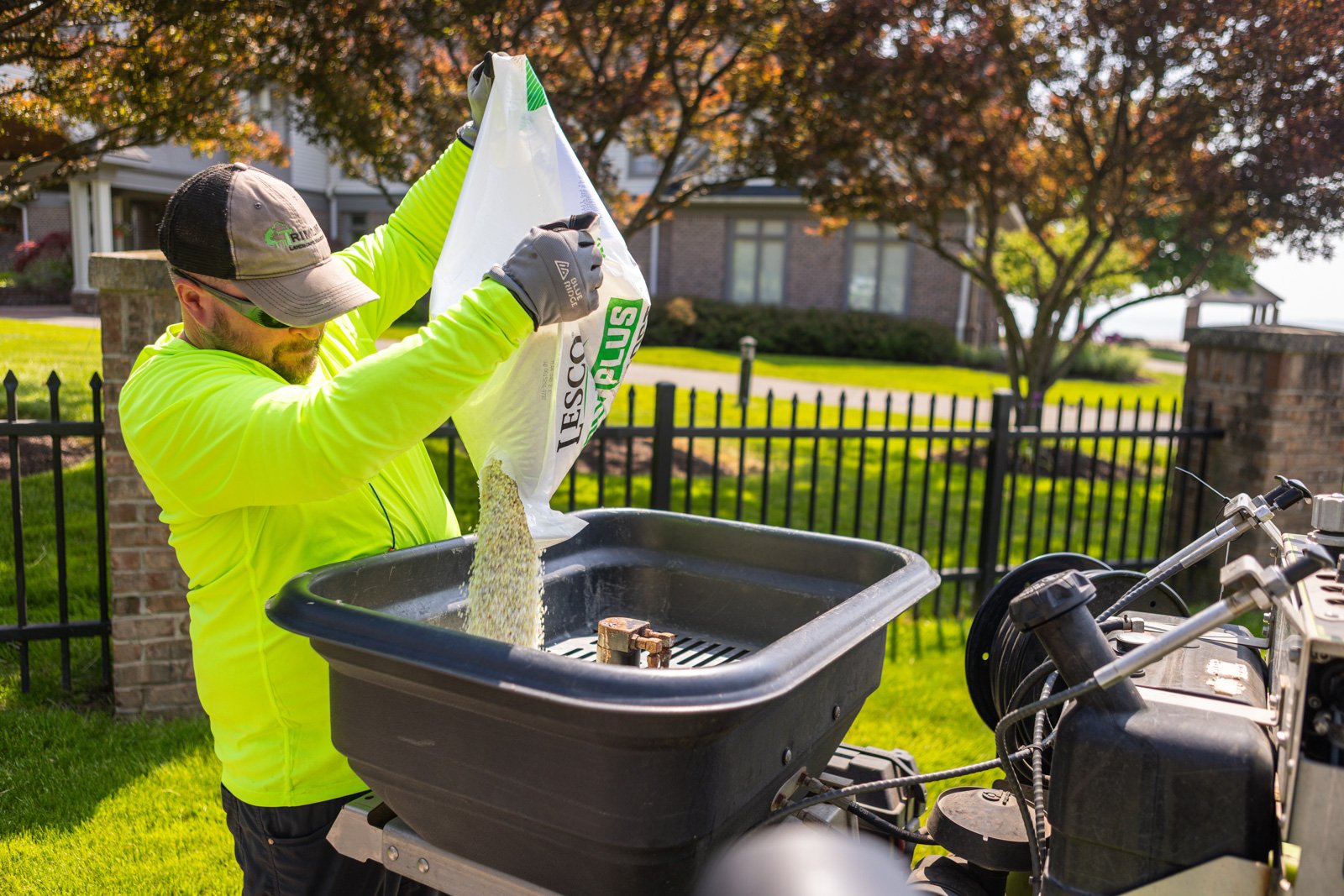 regular fertilization keeps grass healthy to outcompete crabgrass
