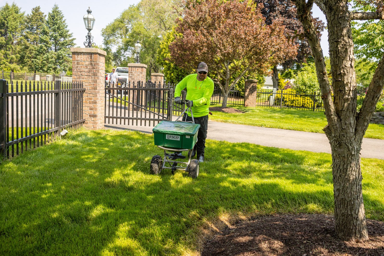 granular winterizer fertilizer being applied