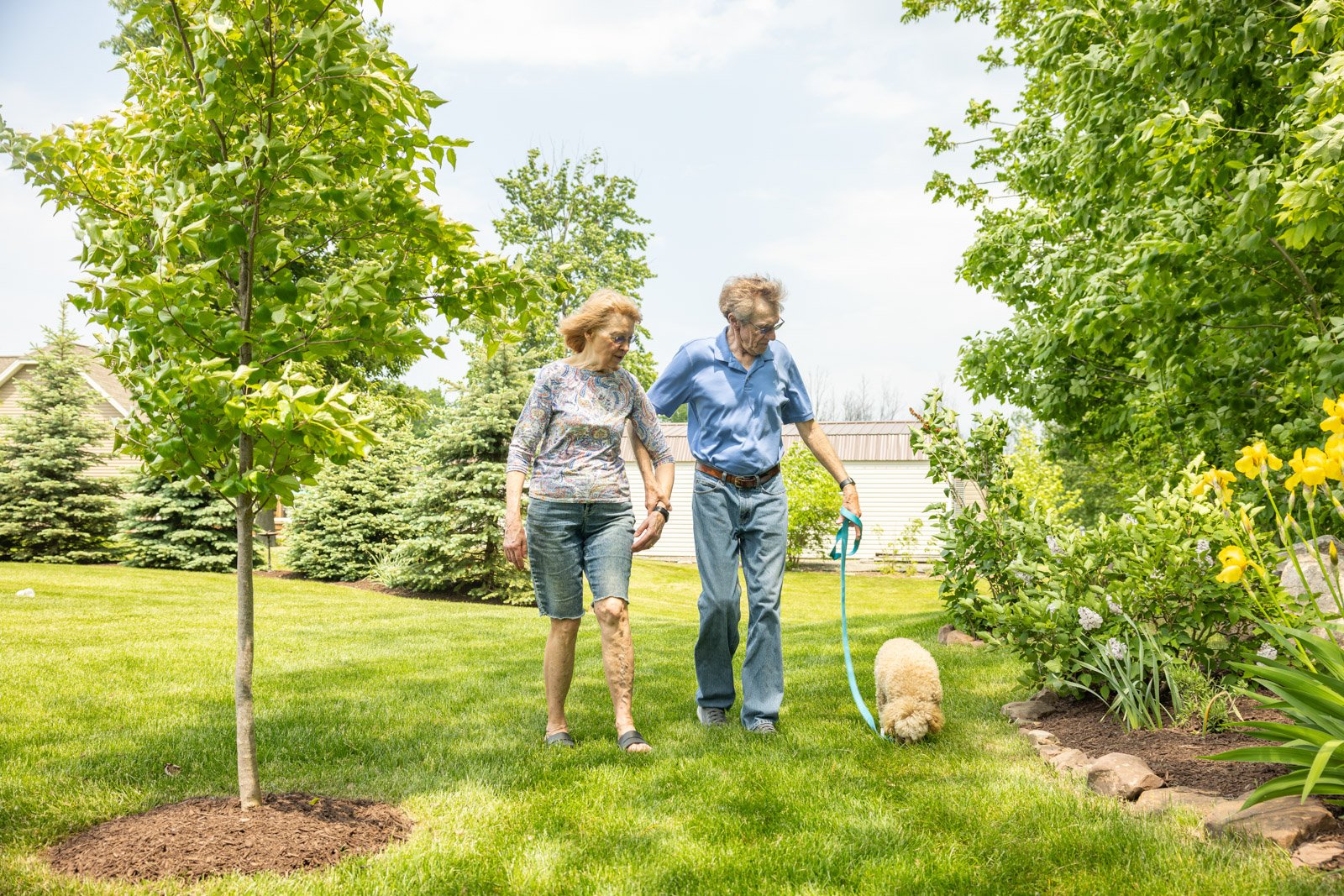 family walking with their dog through a tick-free yard