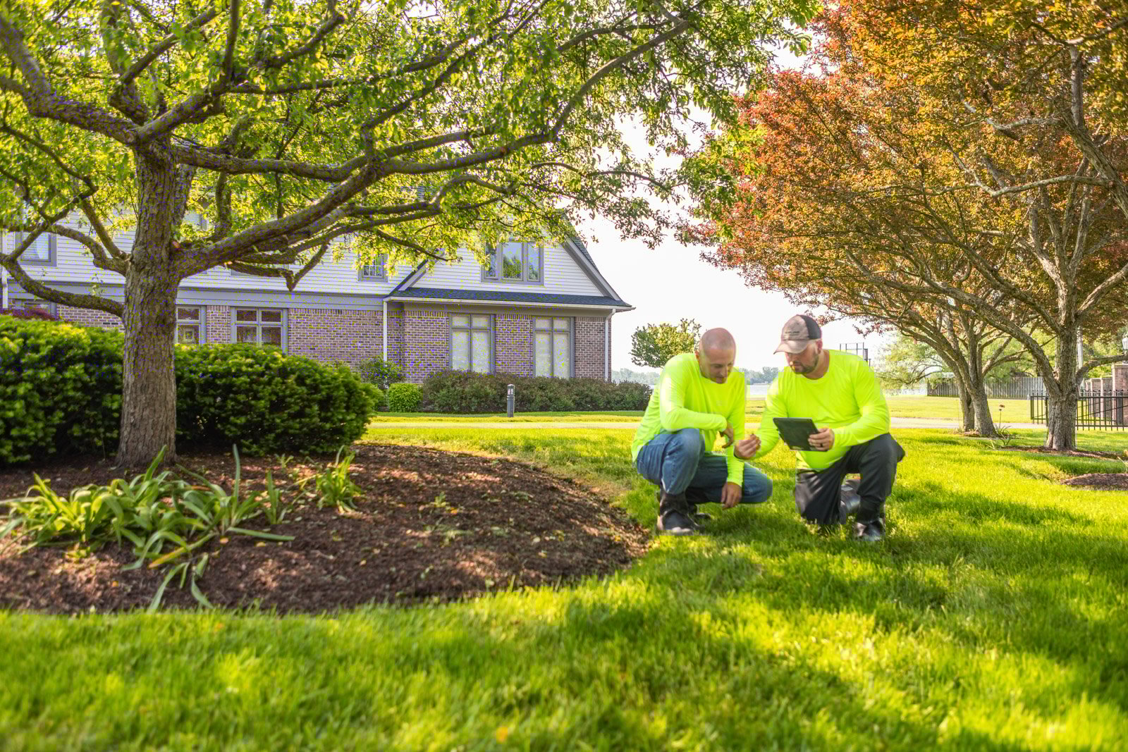 lawn care technicians inspecting a lawn