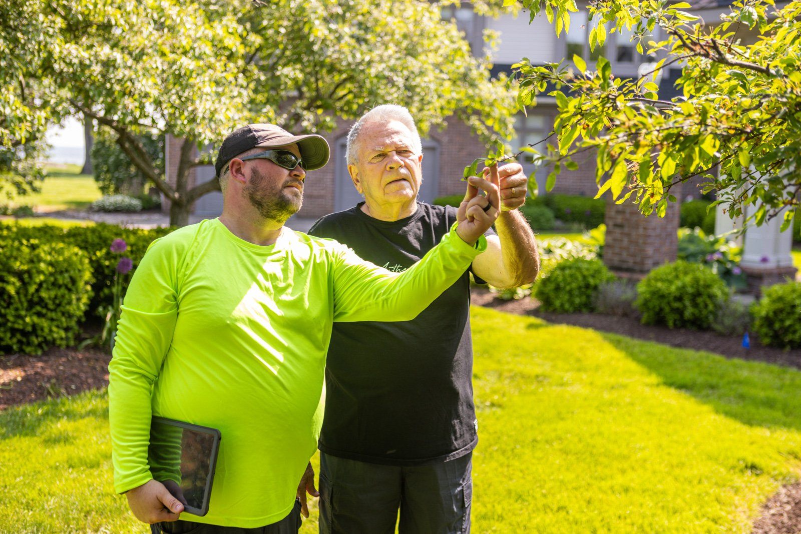 inspecting leaves with a client