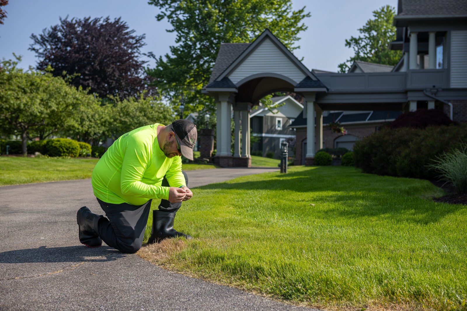 inspecting for specific types of weeds in rochester lawnsd