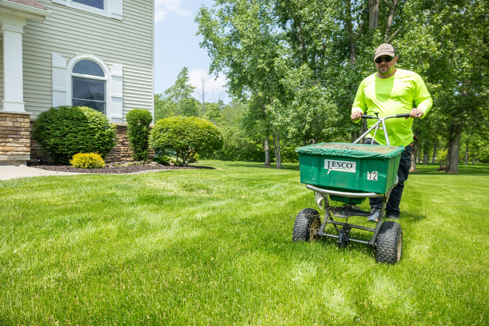 professional lawn care in rochester provides services at the right time