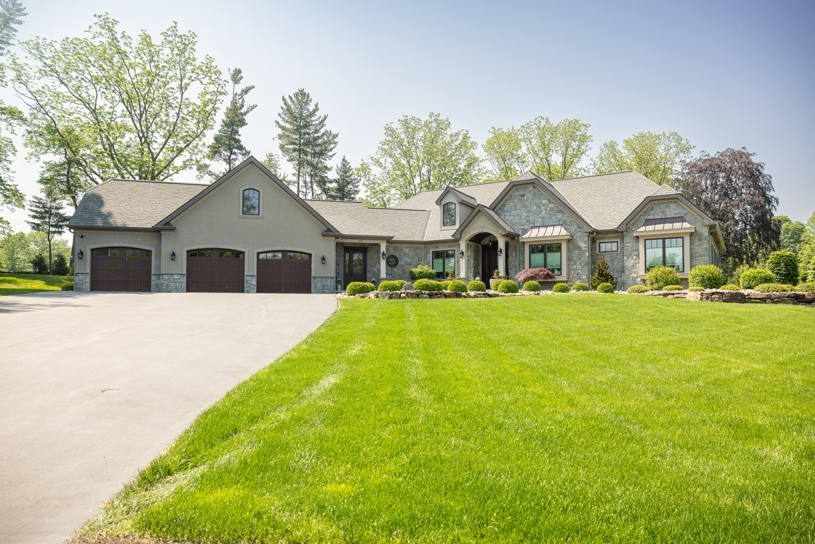 a healthy, thick lawn will naturally deter dandelions