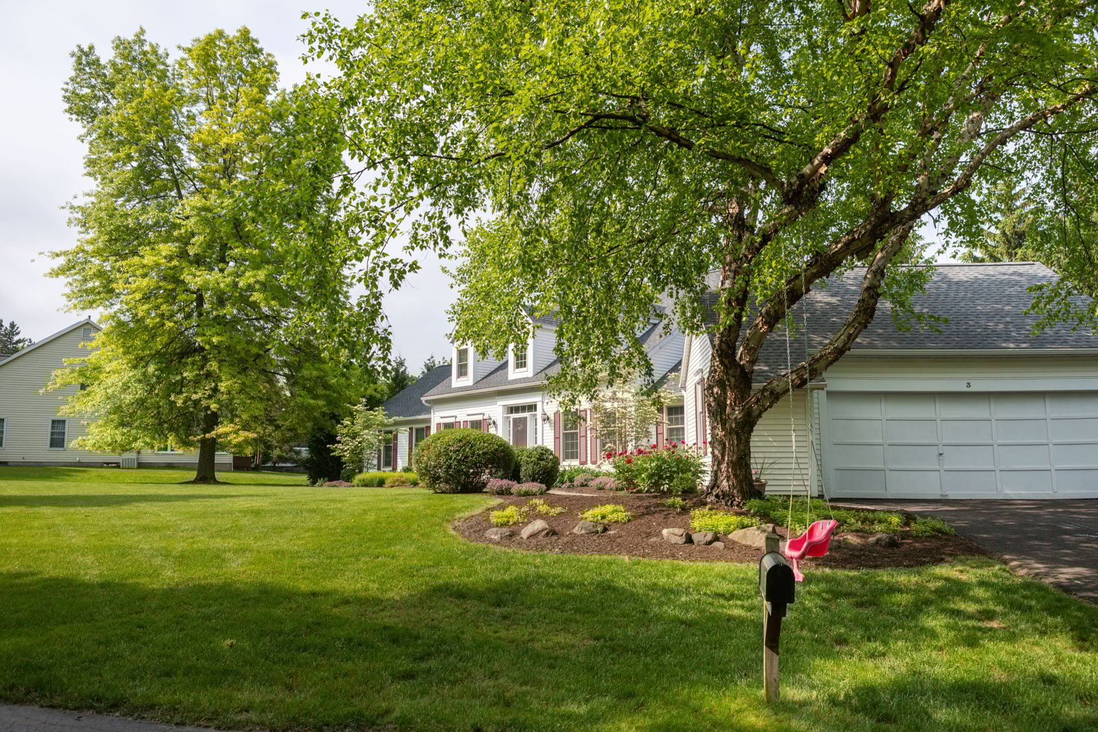 healthy trees with good foliage and strong branches thanks to deep root fertilization