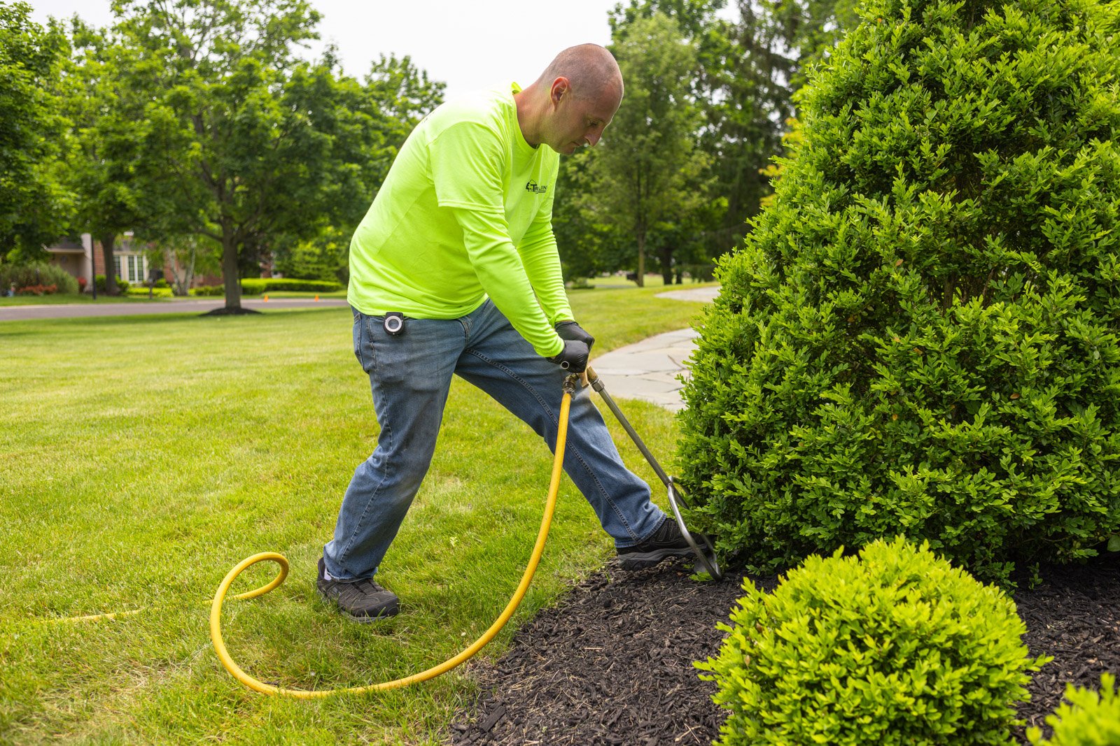 deep root fertilization strengthens trees & shrubs