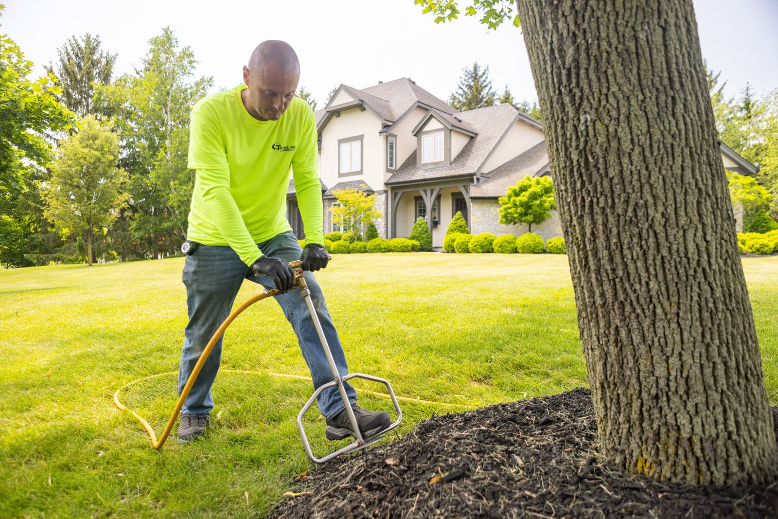 plant health care tech performing deep root injection