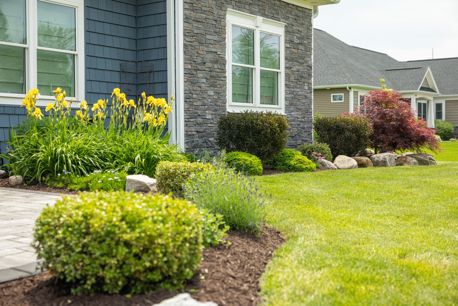 well-maintained lawn and landscape in rochester