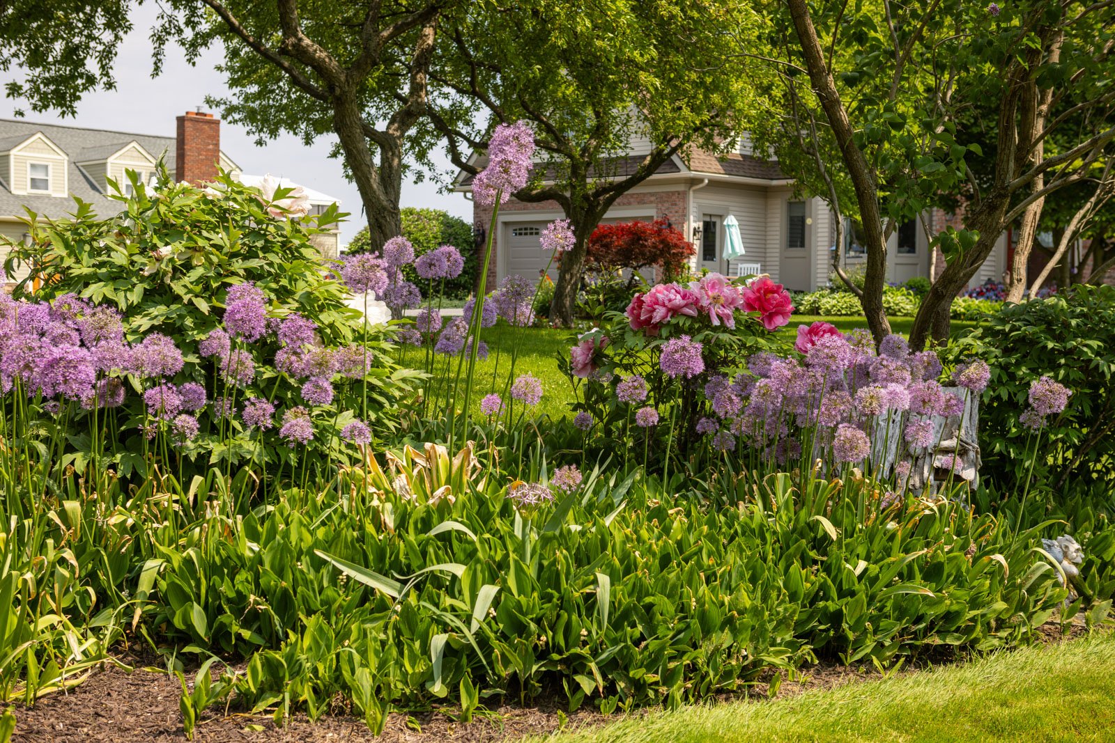 healthy garden with flowers blooming