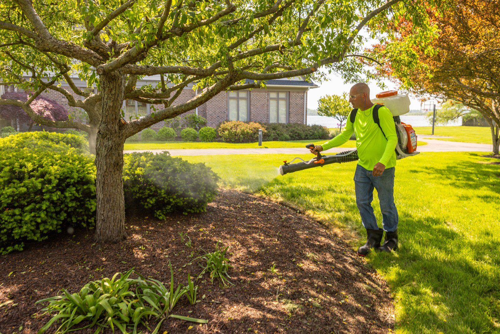 apply mosquito control every 3 to 4 weeks