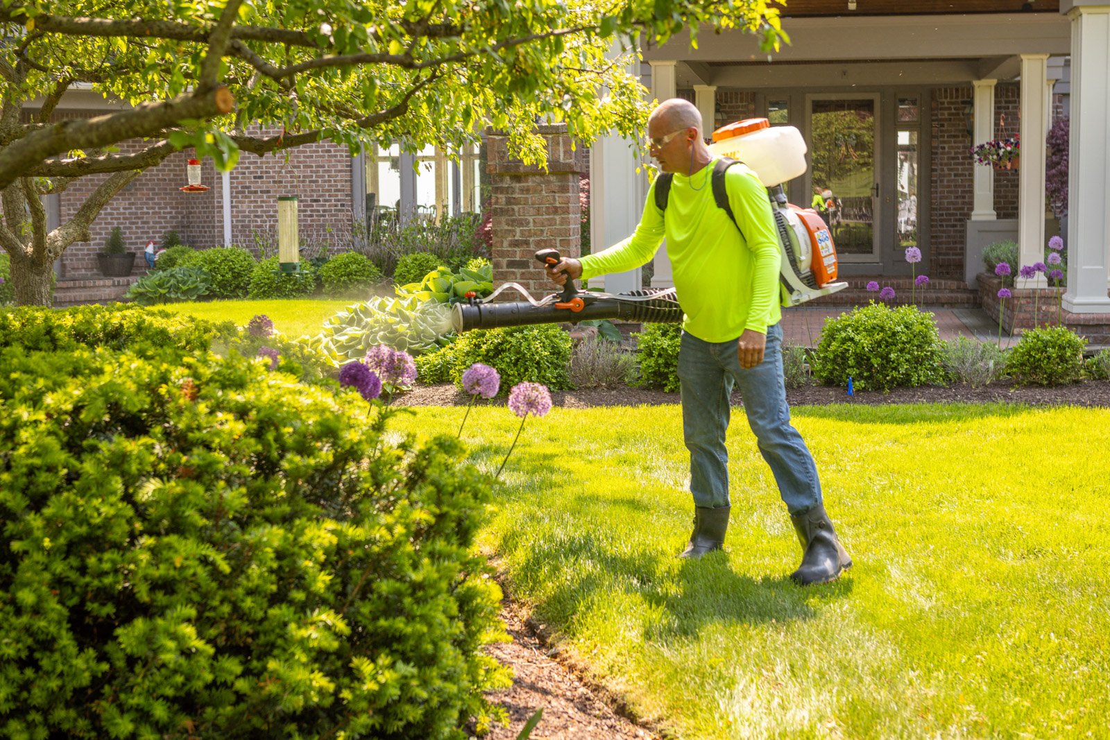 mosquito prevention application