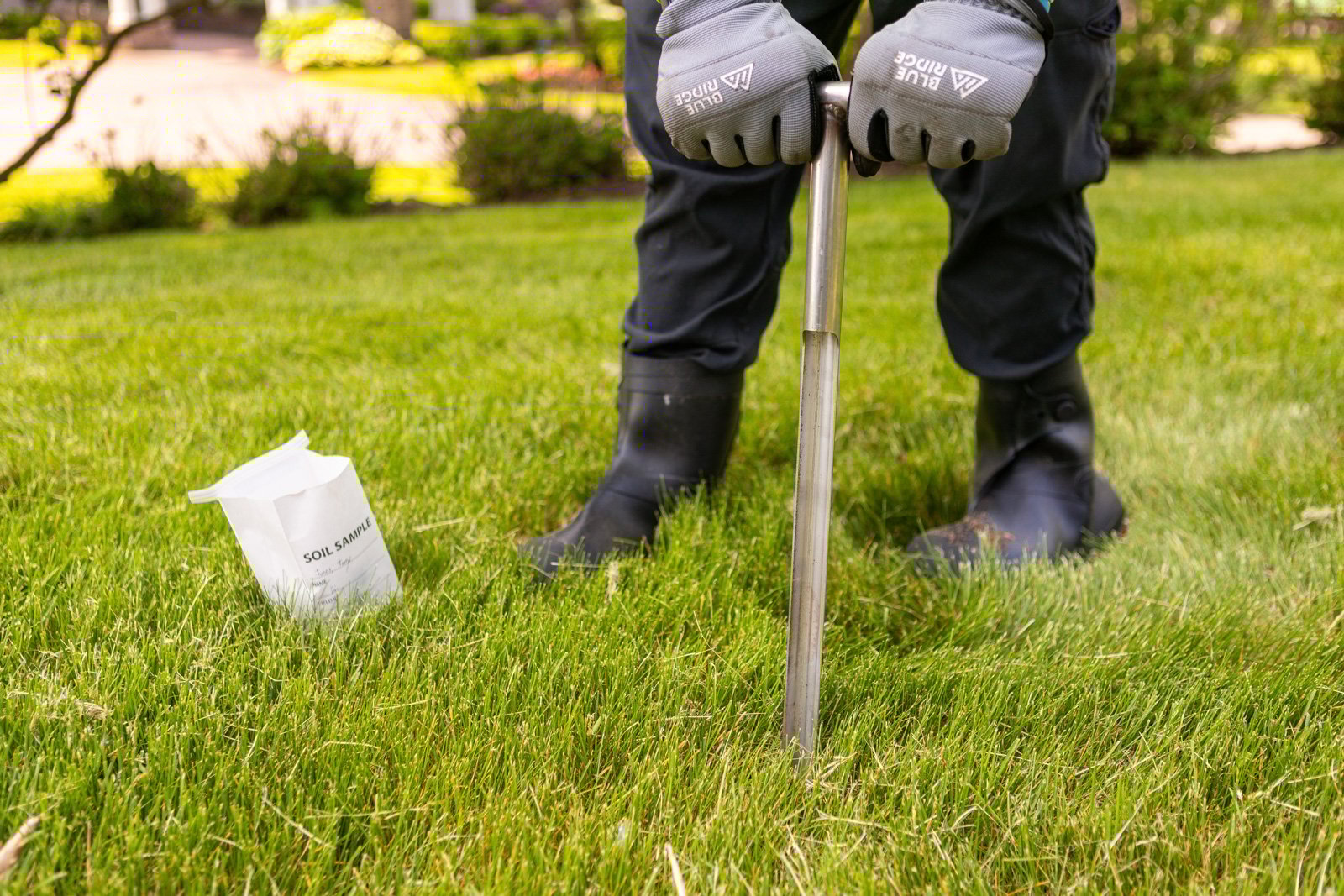 soil tests can reveal issues with ph and other nutrients