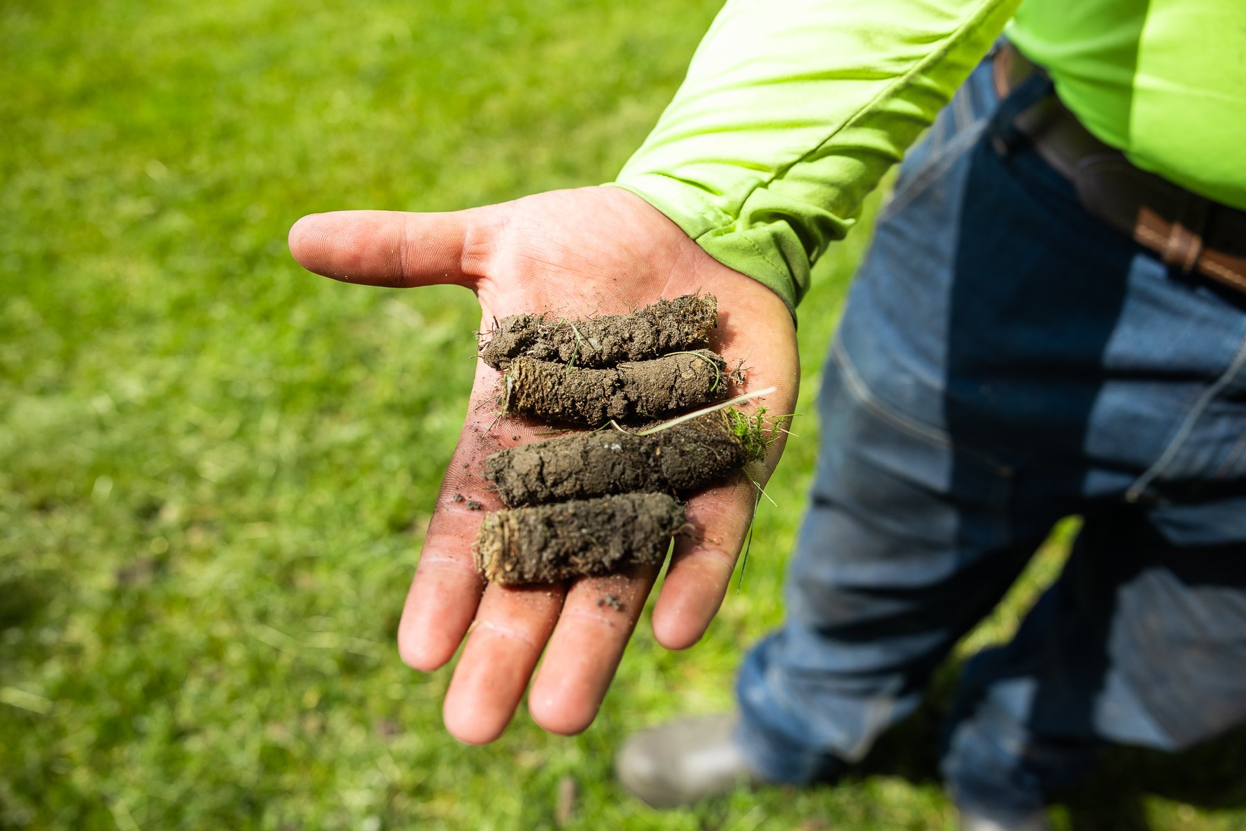 aeration core plugs that help relieve compaction