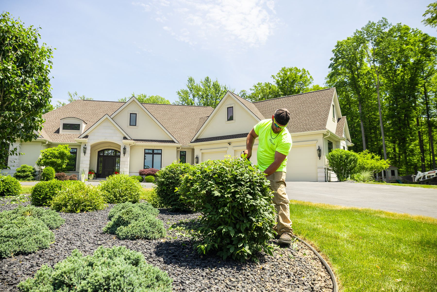 landscape maintenance keeps shrubs and trees looking their best