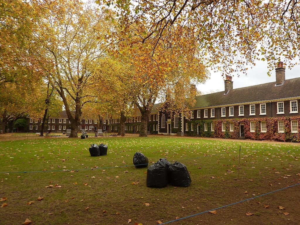 bag and remove leaves when leaf cover is heavy