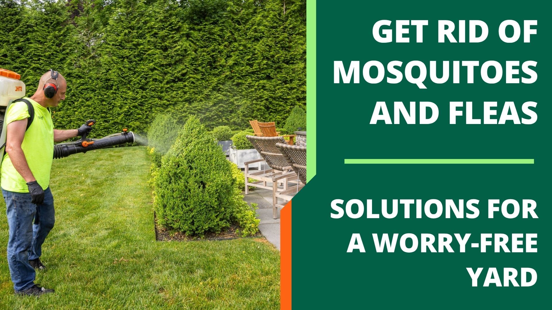 Getting Rid of Mosquitoes and Fleas in Yard - Trimline Landscape Management