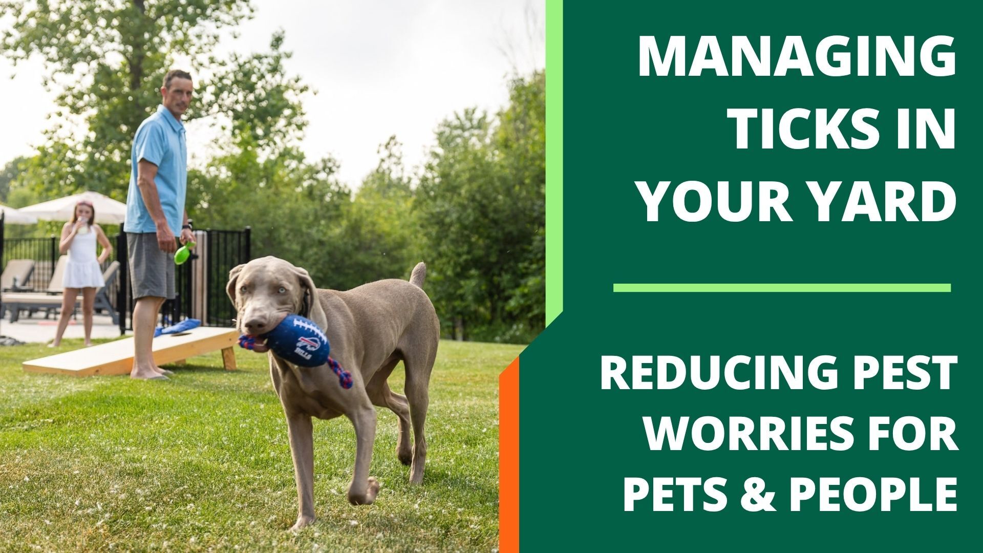 Getting Rid of Ticks in Yard - Trimline Landscape Management