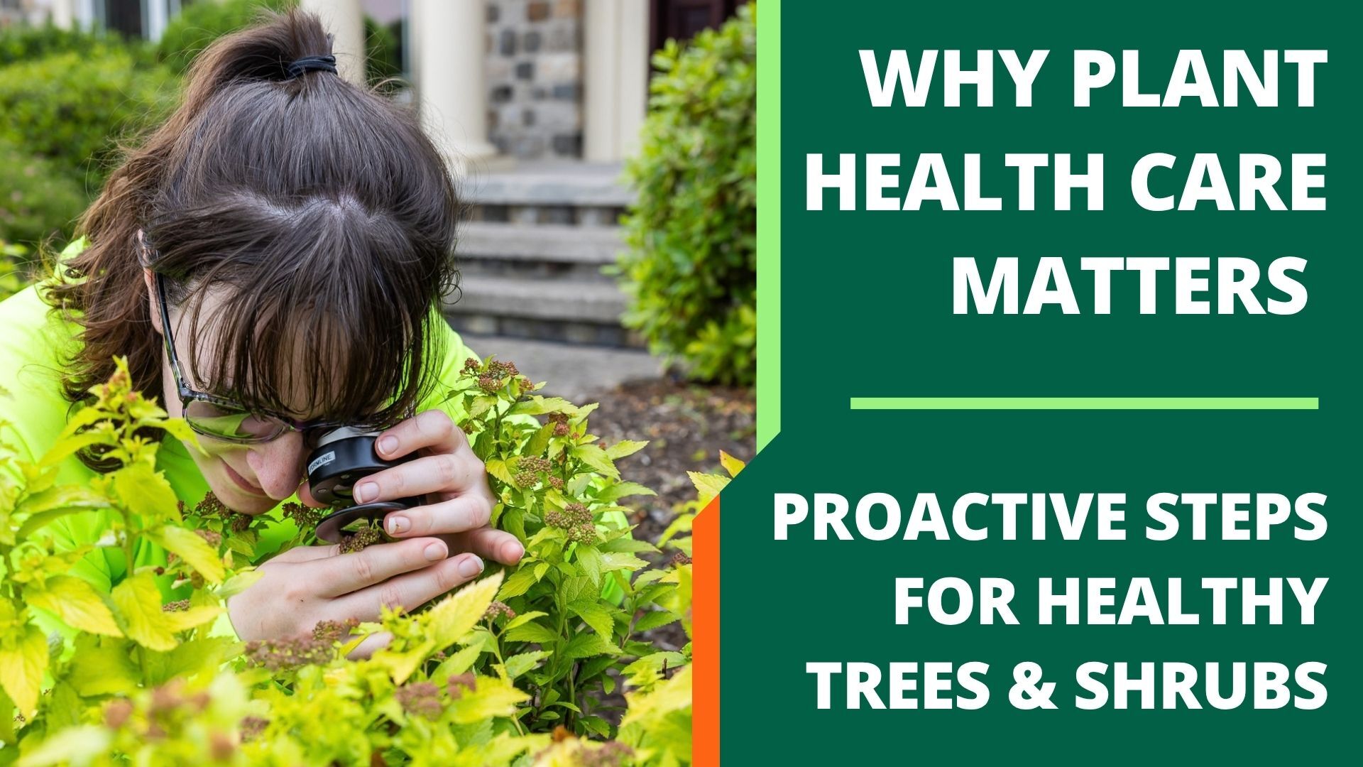 Proactive Plant Health Care Matters - Trimline Landscape Management
