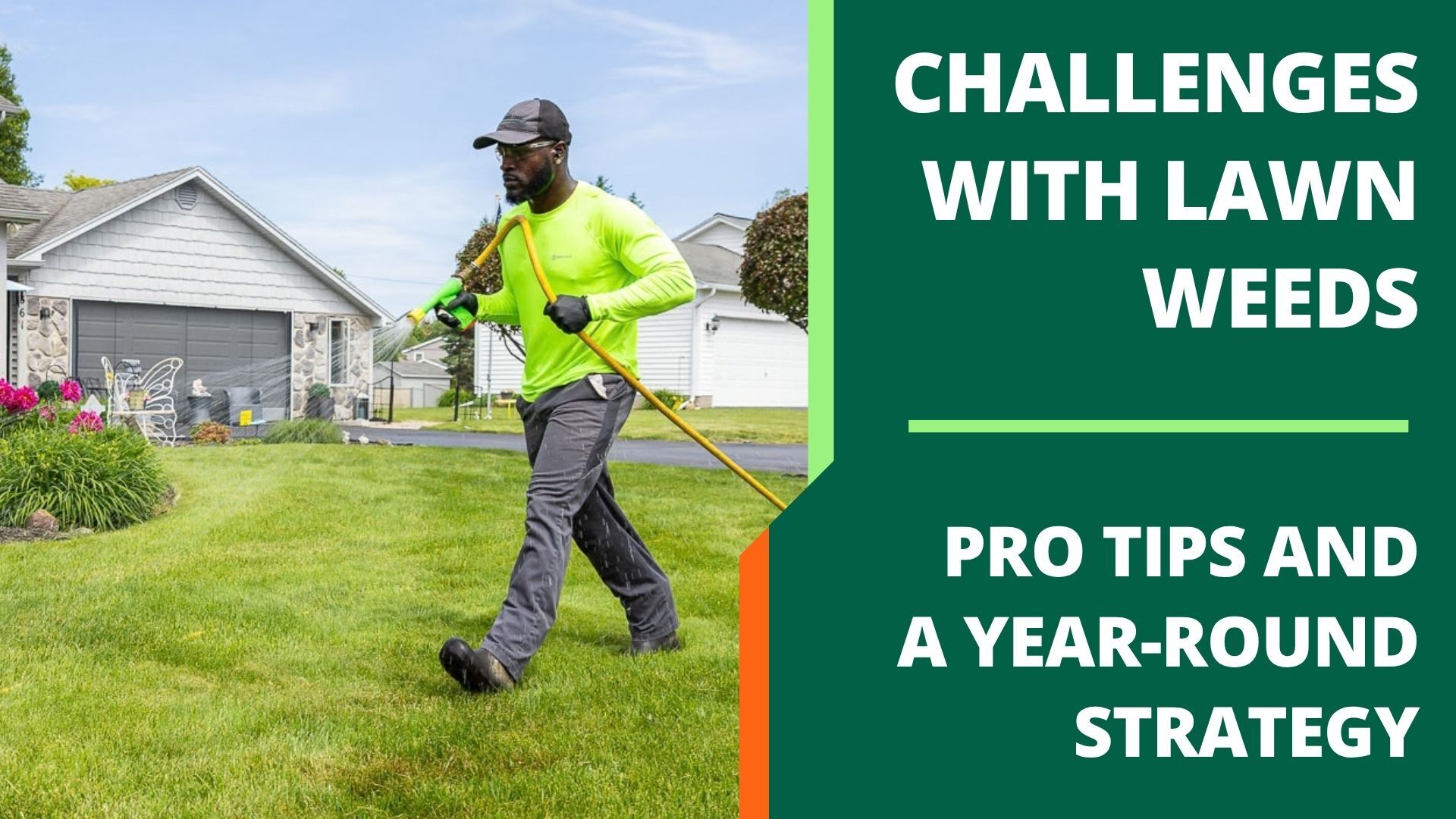 Weed Control Challenges and Treatments - Trimline Landscape Management