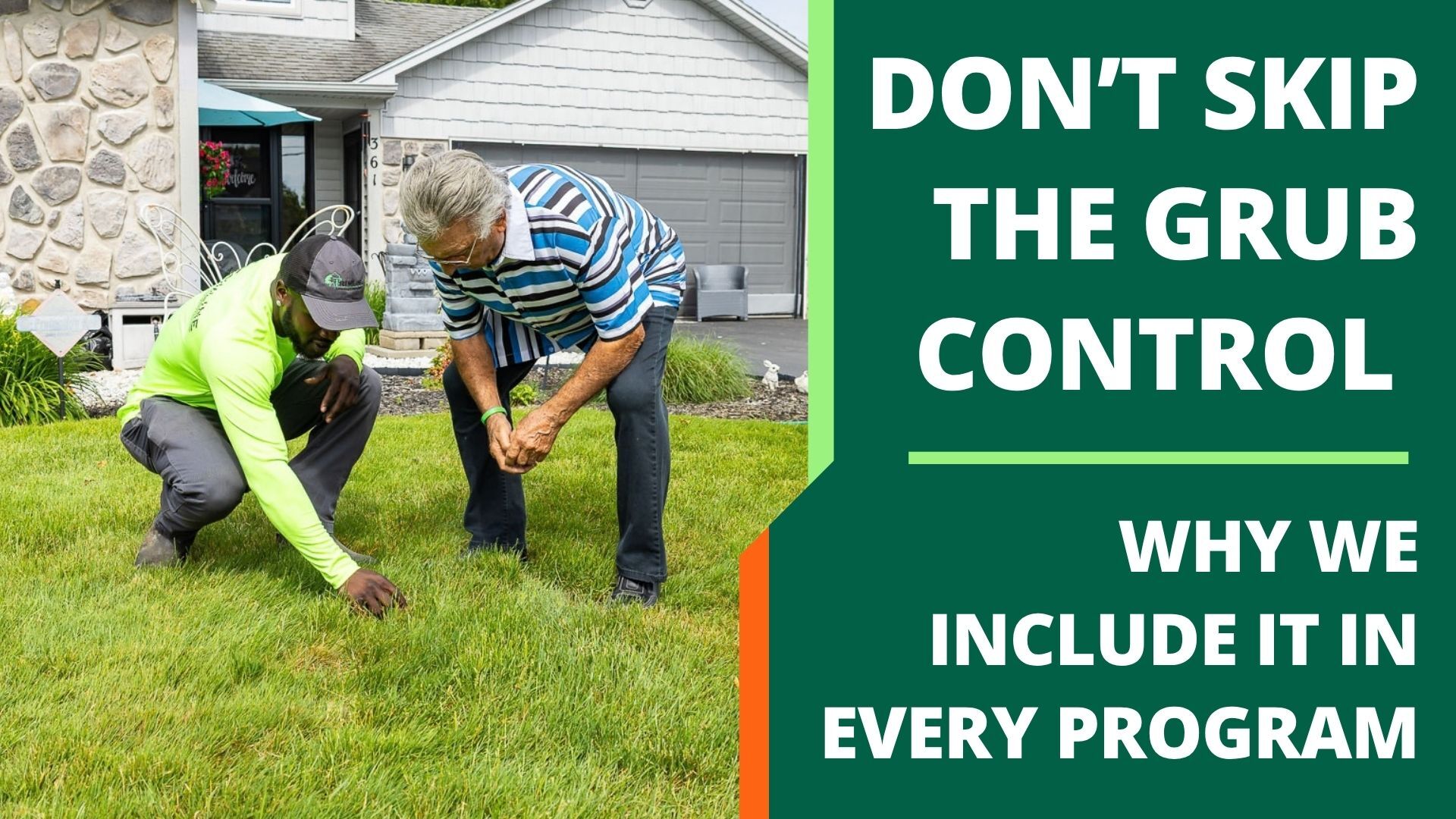 Why Grub Control is Included in Lawn Care Program - Trimline Landscape Management